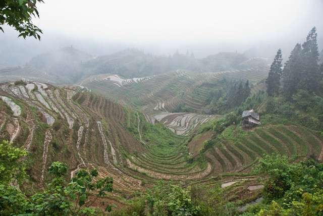 La Terrazas de Arroz de Longji en palanquín. - China milenaria (8)